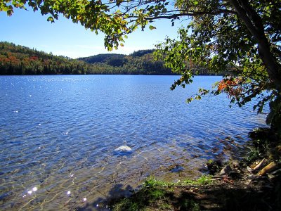 g1/83/550183/3/128833119.qVBTiecI.jpg