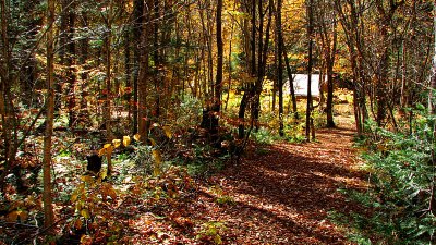 arrive au chalet