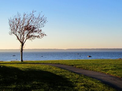 g1/83/550183/3/130131283.JDvbVGlo.jpg