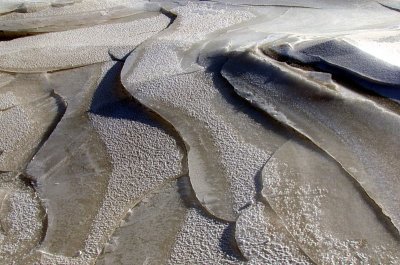 cailles de glace