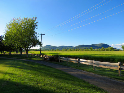 g1/83/550183/3/146470087.0rBYFyzh.jpg