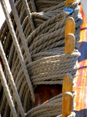 g1/83/550183/3/146619236.hmsdAIIT.jpg