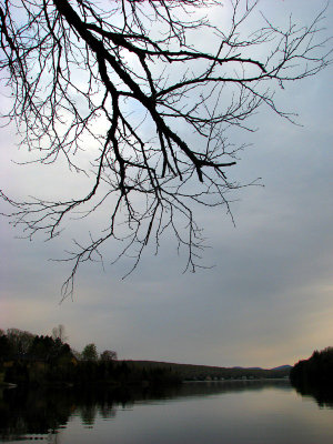 g1/83/550183/3/97206883.gH26WhOV.jpg
