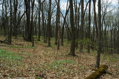 DSC_8600.JPG