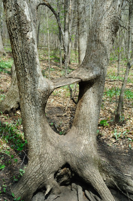DSC_8655.JPG