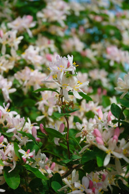 DSC_8752.JPG