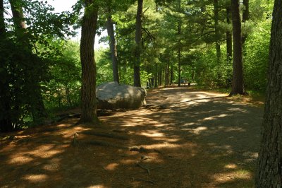 DSC_8850.JPG