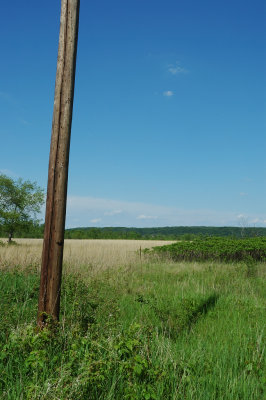 DSC_8890.JPG