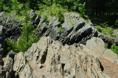 DSC_8909.JPG