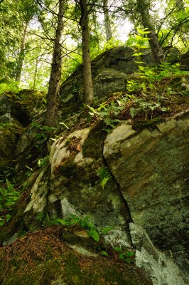 DSC_8943.JPG