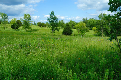 DSC_9061.JPG