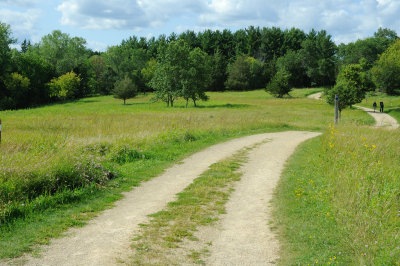 DSC_9068.JPG