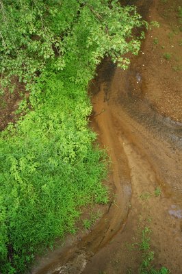 DSC_9126.JPG