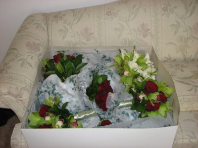 g1/83/571683/3/103572101.zaLXNP13.jpg