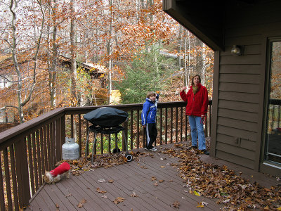 Deck