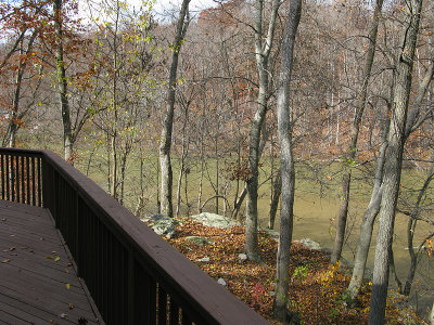 View from deck