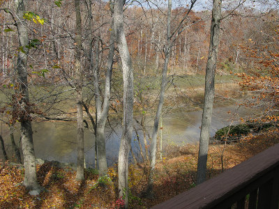 View from deck