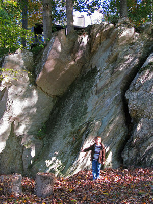 Big rock in our backyard