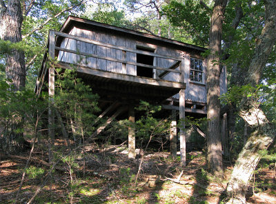 Cabin V