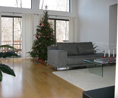 Christmas tree 2010