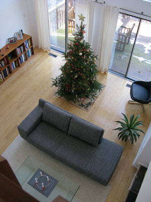 Christmas tree 2010