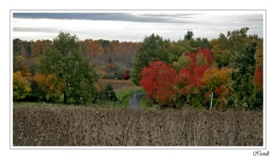 Le chemin