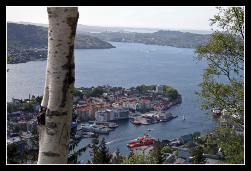 Bergen from Mount Flyen