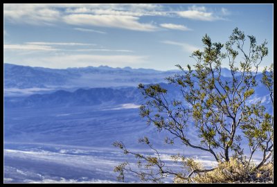 Amargosa River Valley