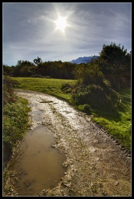 La Mora - Trail