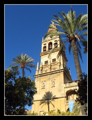 Mosque - Cathedral