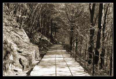Down from Mount Flyen