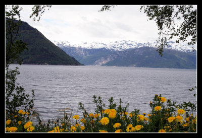 Kinsarvik