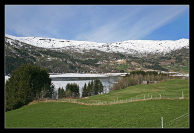 Voss area