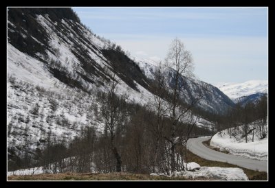 Voss area
