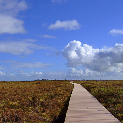 Solway nature reserve