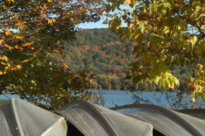 ir-20081023_21.jpg