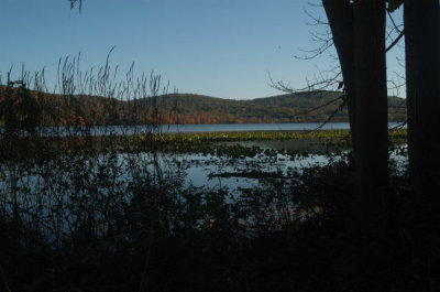 ir-20081023_23.jpg