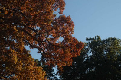 ir-20081023_30.jpg