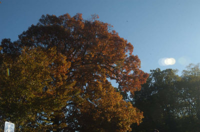 ir-20081023_31.jpg