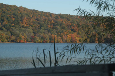 ir-20081023_35.jpg