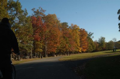 ir-20081023_41.jpg