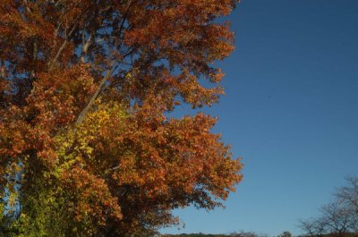 ir-20081023_46.jpg