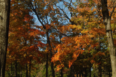 ir-20081023_61.jpg