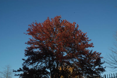 ir-20081023_64.jpg