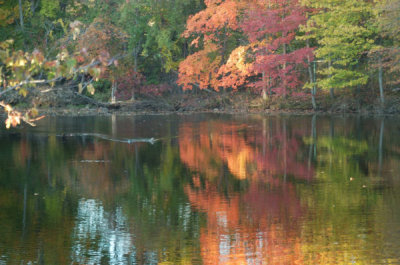 ir-20081023_67.jpg