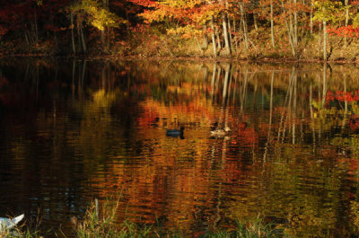 ir-20081023_69.jpg
