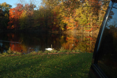 ir-20081023_70.jpg