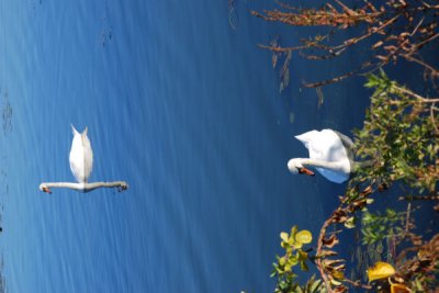 ir-DSC_0142.jpg