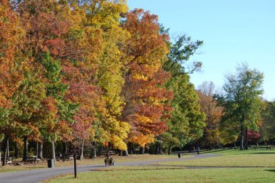 ir-DSC_0147.jpg