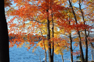 ir-DSC_0160.jpg
